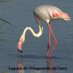 El Romazal * Nava de la Asuncion