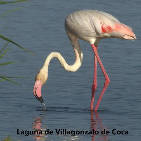 El Romazal * Nava de la Asuncion